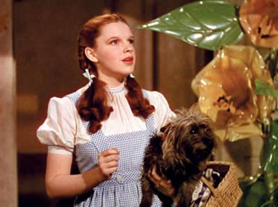 Wizard of Oz